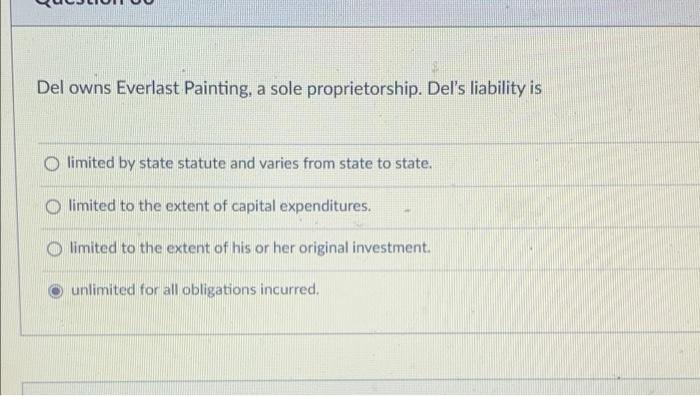 Sole proprietorship business examples liability introduction ownership form advantages company proprietor unlimited proprietorships merits between their books figure disadvantages owner